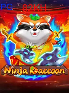 NinjaRaccoon